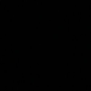 Meet your Posher, Raymond